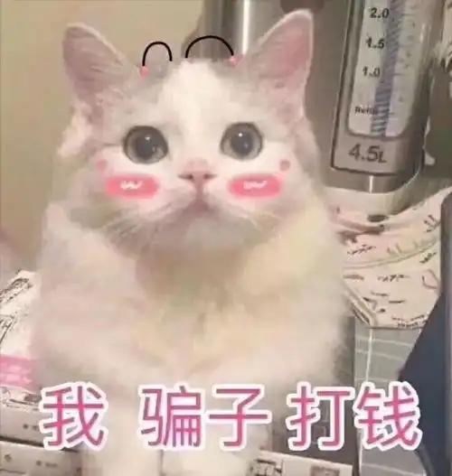 私服这么穿让我看起来高了瘦了精致了
