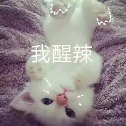 海量表情仓库每天更新抱紧我大腿不要放
