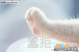 牵宝宝的手猫爪系列图牵宝宝的手表情包下载高清完整版乐游网游戏下载
