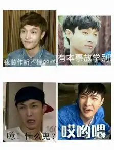 鹿黄子韬表情包扛把子娱乐圈谁家爱豆最强
