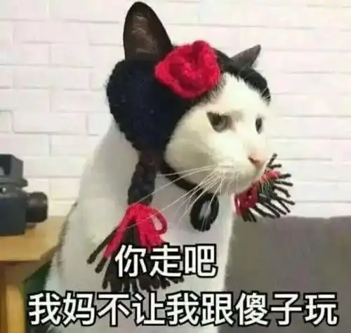 大s跟汪小菲离婚是真,俏江南唏嘘落幕是假,深圳人再也吃不上
