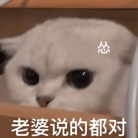 抖音表情包动图精选