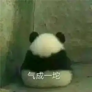 国宝熊猫表情包合集大哥,给口饭吃吧
