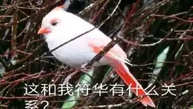 巴哈姆特之怒美服castlecrasher
