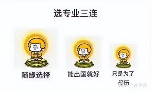 大一新生如何规划出国留学

