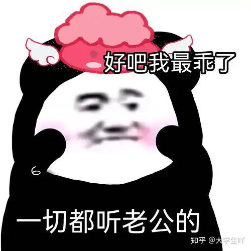 守男德老婆女朋友奴表情包
