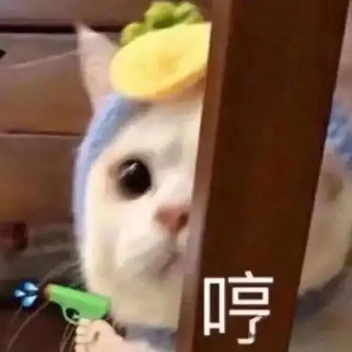 小姐姐,一起玩吗
