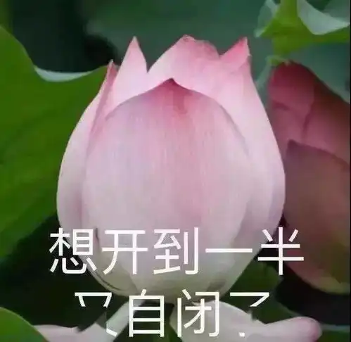 0基础也想练手高颜值好字这份攻略值得收藏
