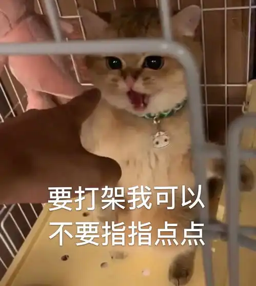 原创哈丨超搞笑微包浆表...
