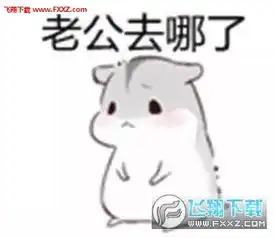 hamham仓鼠表情包老公版哄老公专用仓鼠表情包完整版下载飞翔下载
