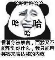 熊猫人微信群暖场表情包
