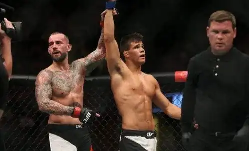 cm朋克丨曾经效力于wwe,后来反目成仇转战ufc两次踏进八角笼都以失败告终,今天他对全世界这样说
