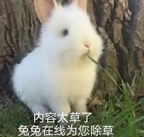 满员的电梯里听到有男生说我腿粗于是转过去问他们是不是可以...
