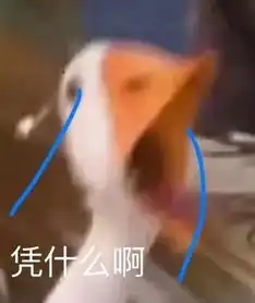 体测小哥哥看了三遍我的校园卡才确认是我本人
