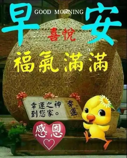 推心置腹,才有以心沟通披肝沥胆,才能风雨兼程,早安
