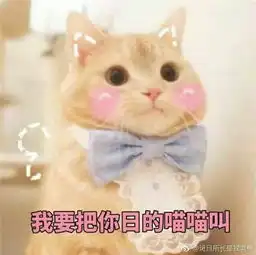 手机掉厕所是一种怎样的体验

