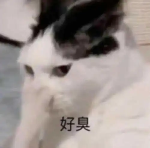 冬天打到臭车,究竟该不该跳车

