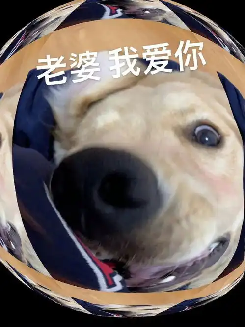 哄对象专用表情包老婆开门呀
