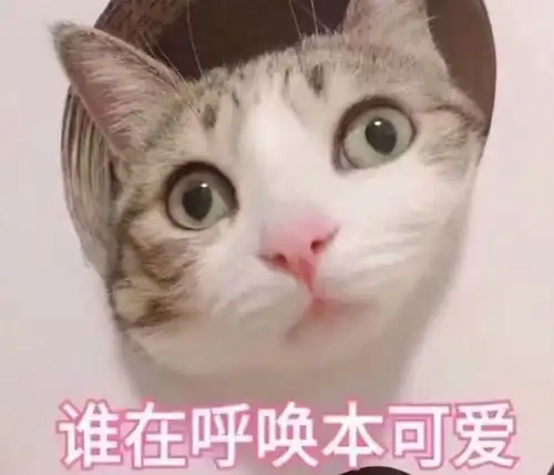 开心一刻段子唐僧师徒路过女儿国,守卫说只给女人放行
