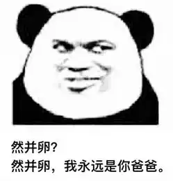爸爸表情包,调皮的老爸
