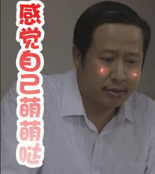 李保国表情包被玩坏张国强太行赤子尽显反差萌
