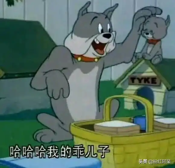 汤姆猫斗图表情包五

