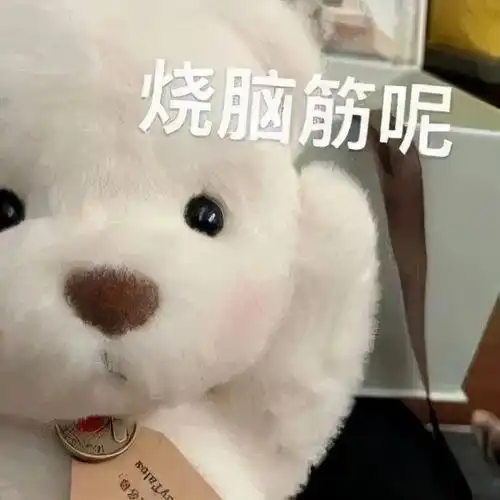 为什么自律的健身圈做医美的人反而更多