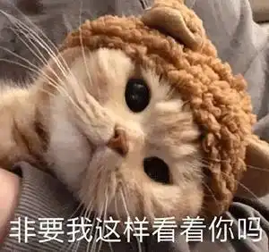 有没有神反转的沙雕文案
