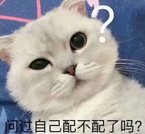 远看一只猫咪像是尾巴掉了,路人好奇走上前,看清后摇摇头离开
