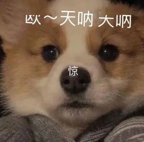 今日份沙雕搞笑表情包
