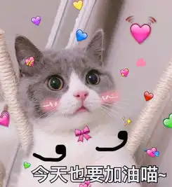 狗狗也会扔垃圾养宠物时你也能做这些环保小事
