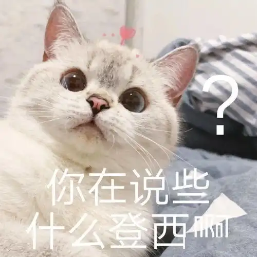 表情包新的一天,新的可爱
