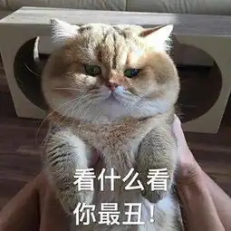 萌宠表情包
