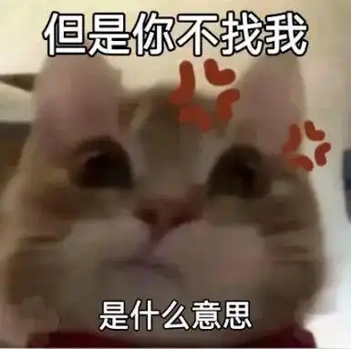 最新歪嘴猫自怕表情
