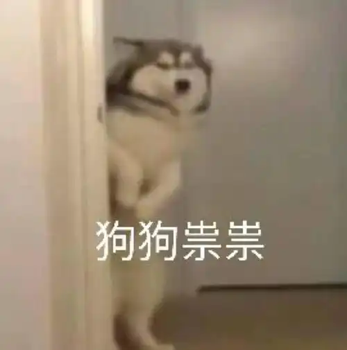 我真的不懂,为何我这么穷
