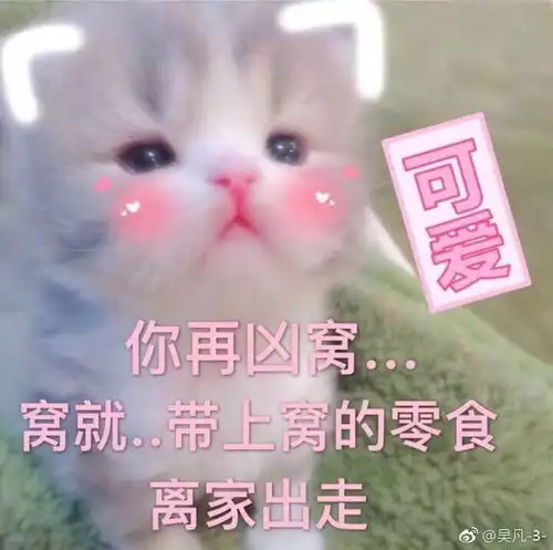 我也发个猫咪表情包更新一波
