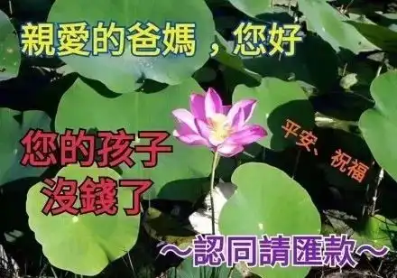 经过双十一月末,如何优雅的向父母讨要生活费
