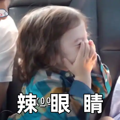 猪猪表情包
