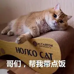 被人一句话噎死是一种怎样的体验
