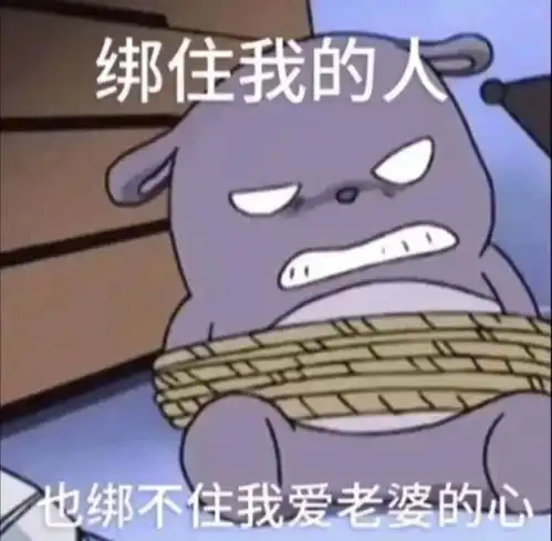 表情包为公主保驾护航
