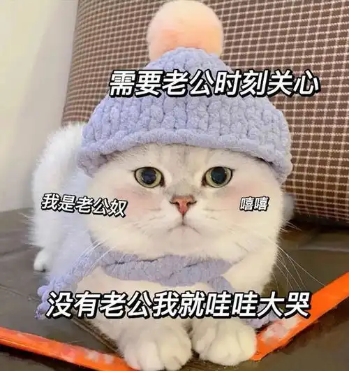 有趣表情包分享,喜欢自取哟