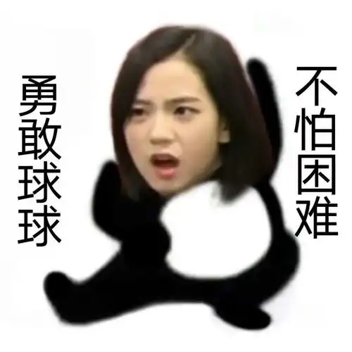 勇敢球球,不怕困难金智秀jisoo表情包
