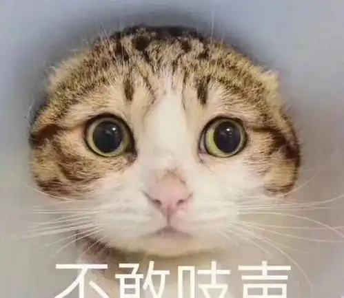 幽默笑话姐别开玩笑了,我也想靠脸吃饭,但那个比送水还累
