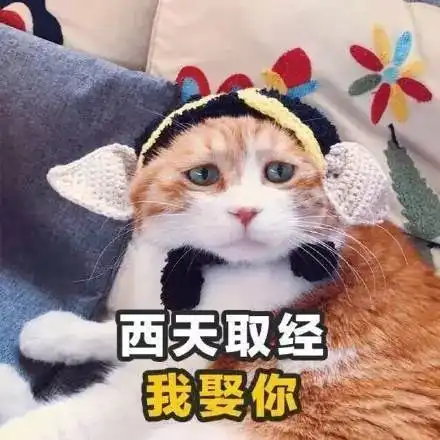 土味情话表情包,拿去撩你的男女神
