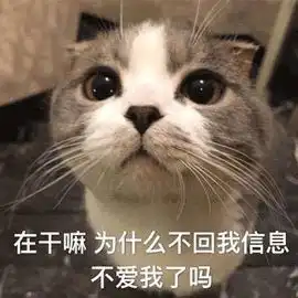 细思极恐,玩具的具是几横

