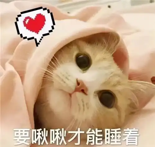 猫咪爱你入骨的几个表现,你家猫有吗
