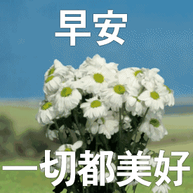 精美早上好动态图片t祝福早上好的动态表情
