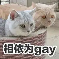 相依为gey表情包
