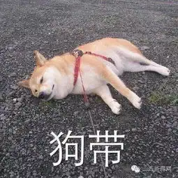 蓝瘦香菇刷屏2016年十大网络流行语你懂几个