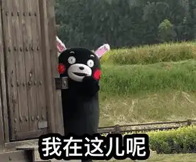 好运泡泡澡的相册沙雕表情包头像
